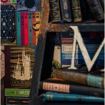 papel-pintado-pared-libros-hogwarts-hp