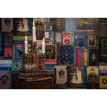 papel-pintado-pared-libros-hogwarts-hp