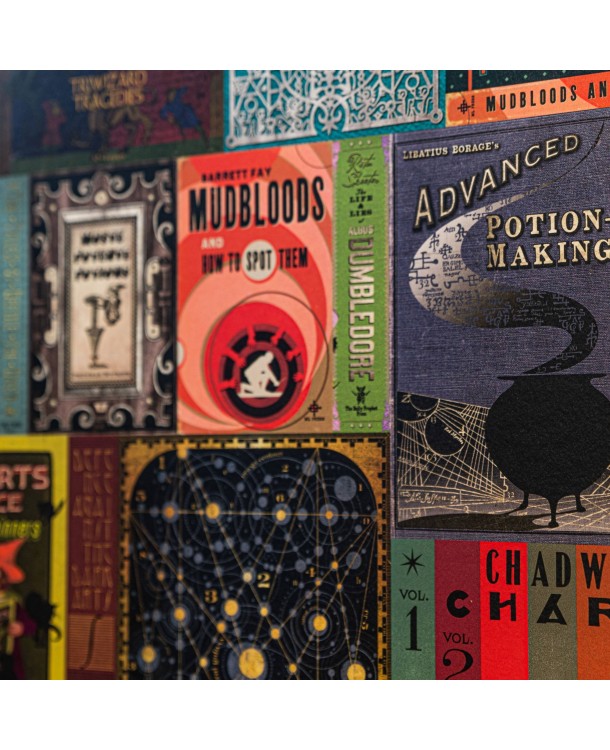 papel-pintado-pared-libros-hogwarts-hp