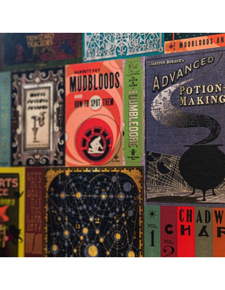 papel-pintado-pared-libros-hogwarts-hp
