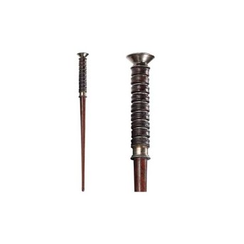 varita-magica-de-henrietta-fischer-ani