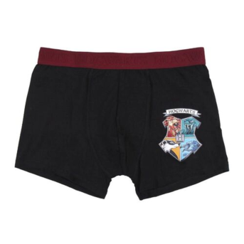 pack-2-boxer-harry-potter