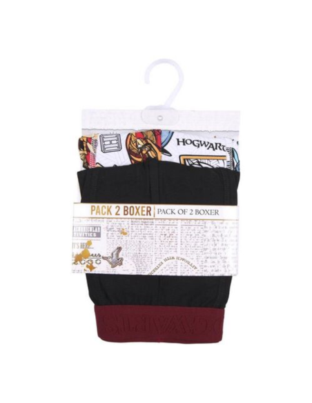 pack-2-boxer-harry-potter