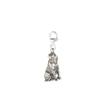 Colgante charm Hagrids Dog Fang Harry Potter plata