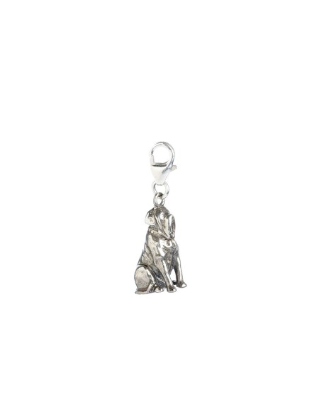 Colgante charm Hagrids Dog Fang Harry Potter plata