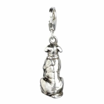 Colgante charm Hagrids Dog Fang Harry Potter plata