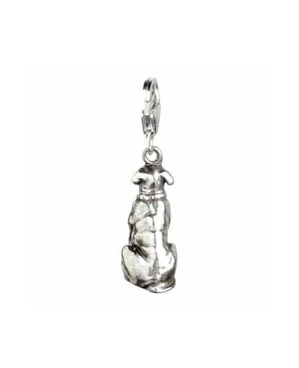 Colgante charm Hagrids Dog Fang Harry Potter plata
