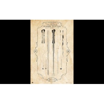 Póster Varita de Harry Potter