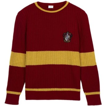 Jersey de Punto Tricot Harry Potter Winter 2022 Gryffindor