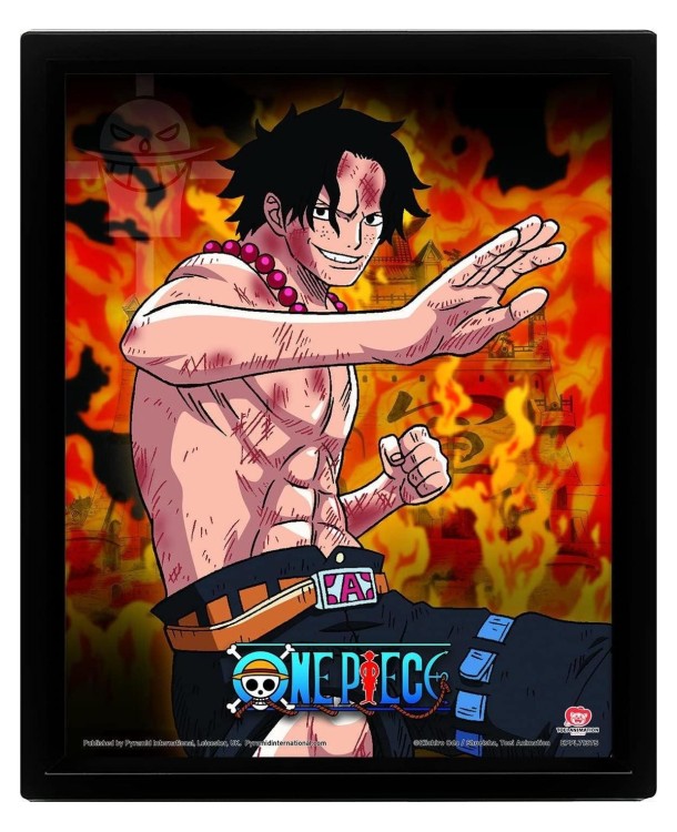 poster-3d-bhrothers-burning-rage-op