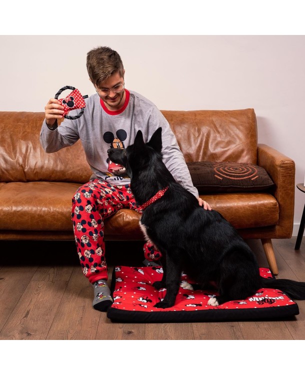 copy of Correa Para Perros Talla S Minnie Mouse