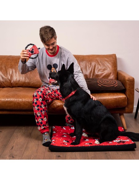 copy of Correa Para Perros Talla S Minnie Mouse