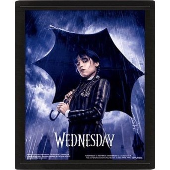 CUADRO WEDNESDAY 3D PARAGUAS