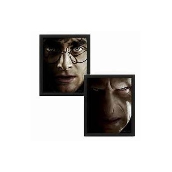 CUADRO 3D HARRY / VOLDEMORT HARRY POTTER