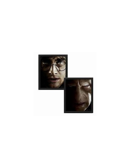 CUADRO 3D HARRY / VOLDEMORT HARRY POTTER