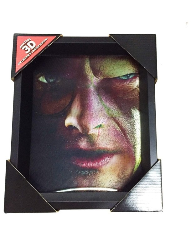 CUADRO 3D HARRY / VOLDEMORT HARRY POTTER