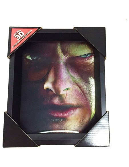 CUADRO 3D HARRY / VOLDEMORT HARRY POTTER