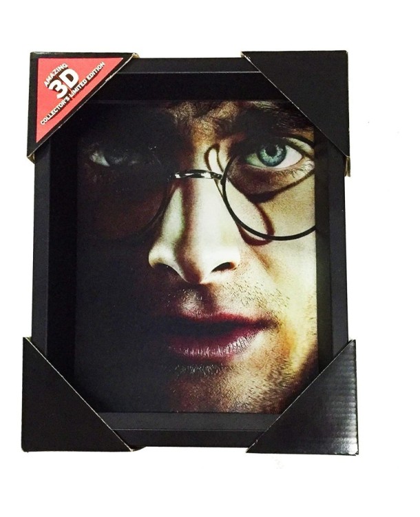 CUADRO 3D HARRY / VOLDEMORT HARRY POTTER