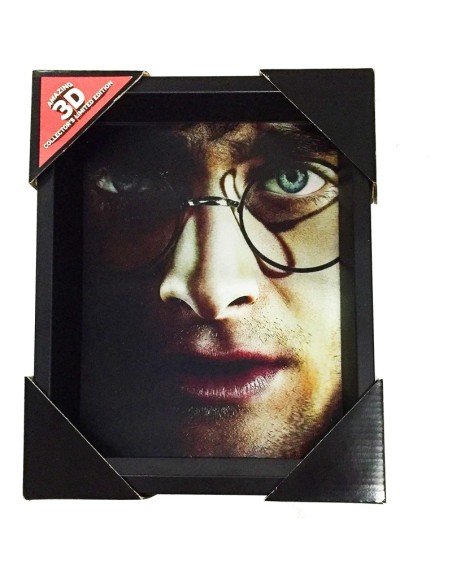 CUADRO 3D HARRY / VOLDEMORT HARRY POTTER