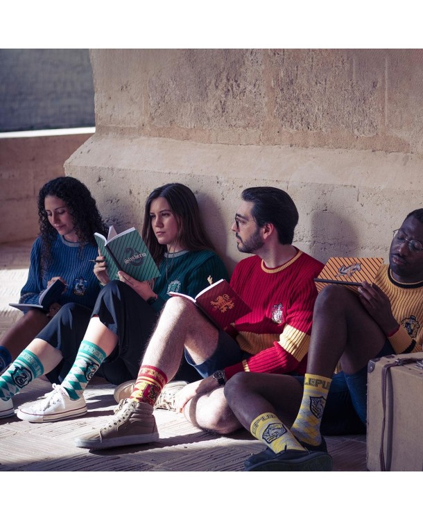 Set de Papeleria Gryffindor - Harry Potter