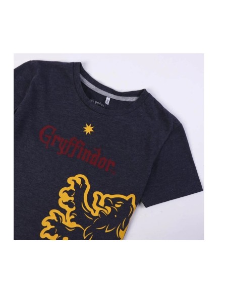 Pijama león gryffindor